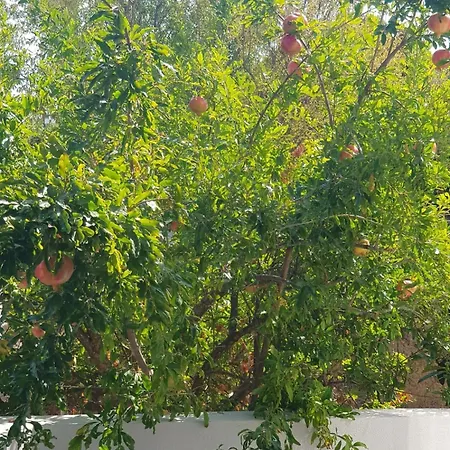 ホテル North Wind - *