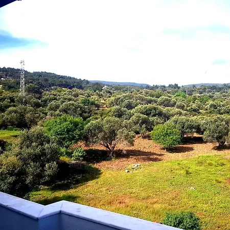 North Wind - * Karaburun (Izmir)