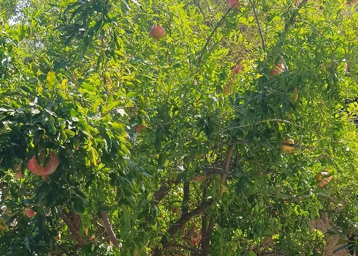 Hotel North Wind - *